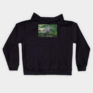 Babirusa Kids Hoodie